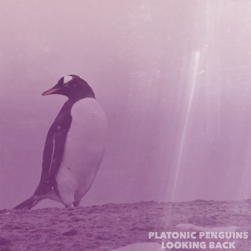 Platonic Penguins